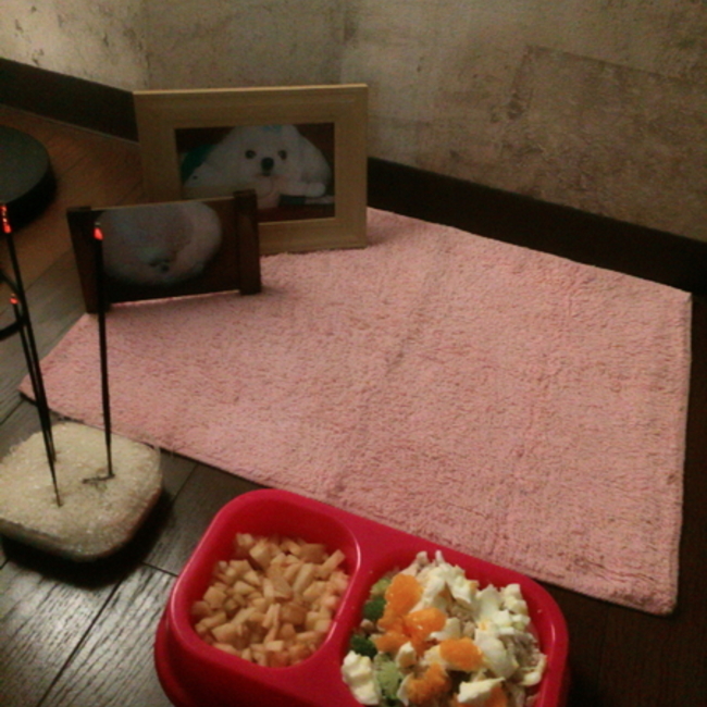 20150609のカバー写真