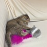 おもちゃで遊びまくり（笑）