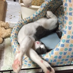 ついに好き放題