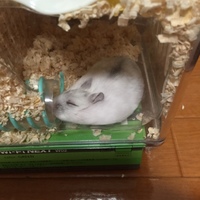 ぽんず