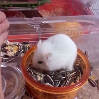 里親様決まりました！