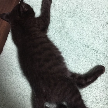 の写真