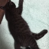 の写真
