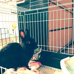 「土曜のちまきさん」サムネイル2