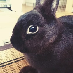 「土曜のちまきさん」サムネイル3