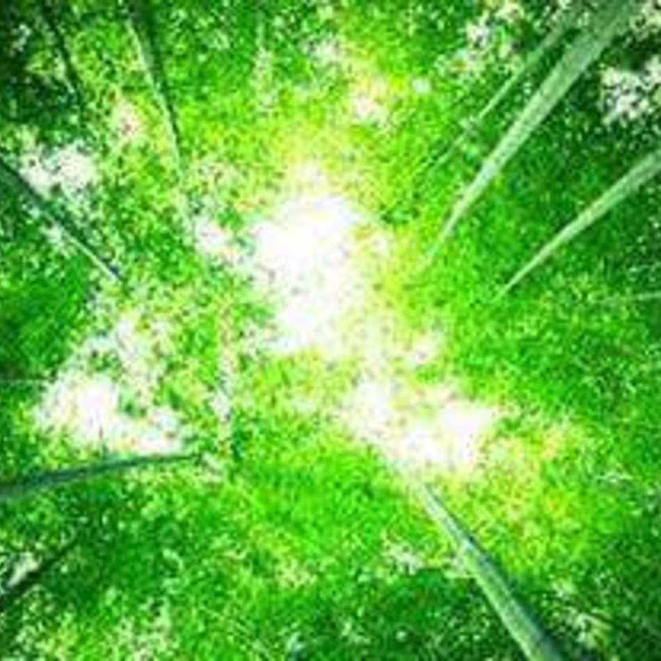 のあのカバー写真