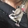 いつものように眠くてフリーズ中❤️