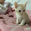 募集休止します