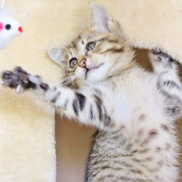 おてんばで困るよ・・・