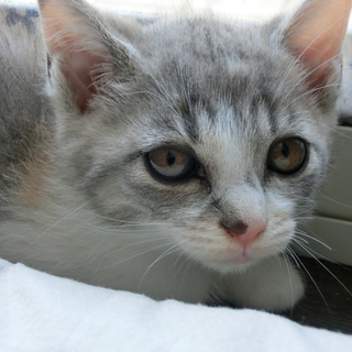 たくさんの応募有難うございました。