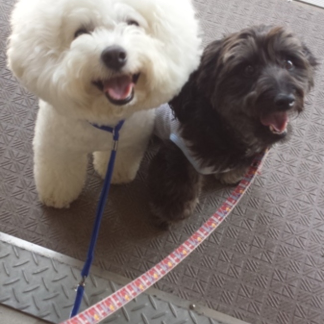 えりんこっのカバー写真