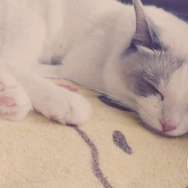 oginoのカバー写真