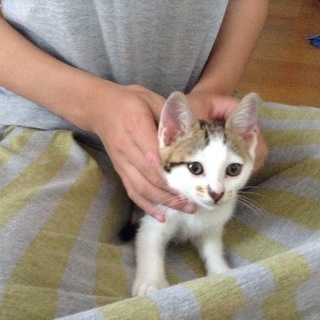 可愛いがってくれる方宜しくお願いします‼︎