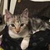 にこ