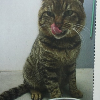 ダンボールに入れ遺棄！！