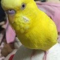 ご応募ありがとうございました。