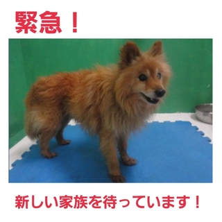 とっても素晴らしい家族のもとへ