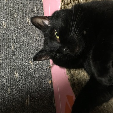 なに見てんのよ‼️