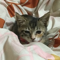 まる