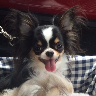 素敵な家族ができました。ありがとうございました♪