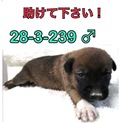家族ができました！
