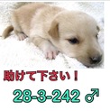 家族ができました！