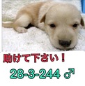 家族が出来ました！