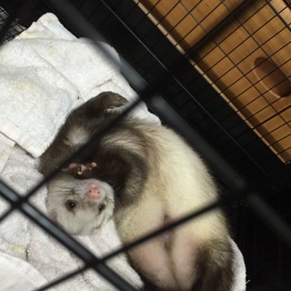 愛情がたくさん注げる方へ