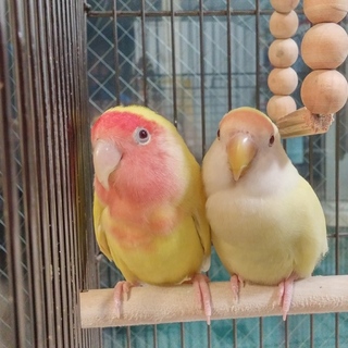 温かい沢山のご応募、どうもありがとうございました!