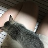 寝てる(⌒ω⌒)