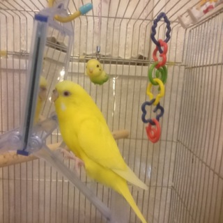 クシャミをすると心配してくれます☆