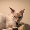 の写真