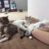 の写真