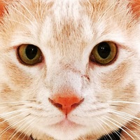ジャック