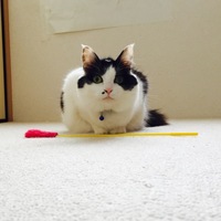ブリトニー