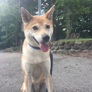 ナナコです！元気いっぱいの7歳☆