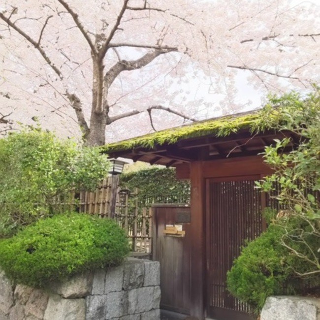 京にゃんのカバー写真