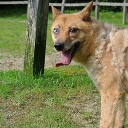 よつばちゃん脱皮中～