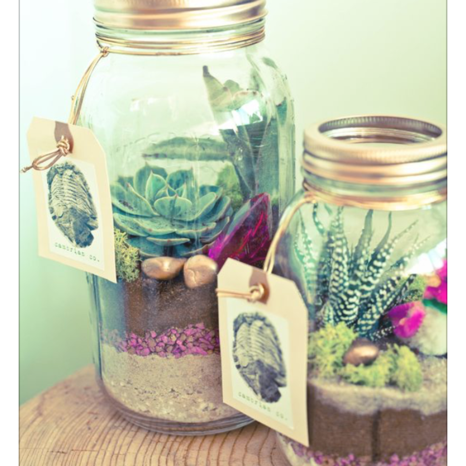 クインのカバー写真