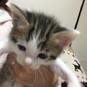 決まりました!!