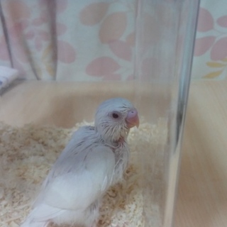 たくさんのご応募ありがとうございました。