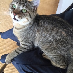 きょうのおテグ