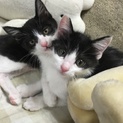 よろしくお願い致します！