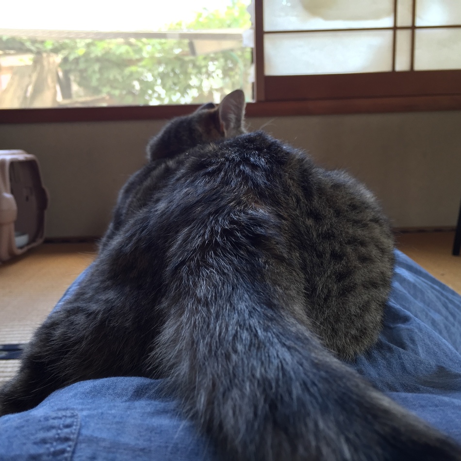テグのカバー写真