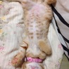 お腹！！
