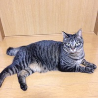 なな