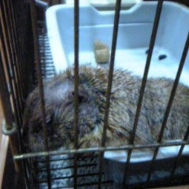 餌箱もお気に入り♪