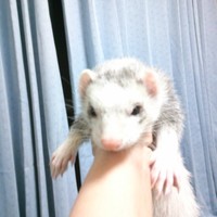 ミルク