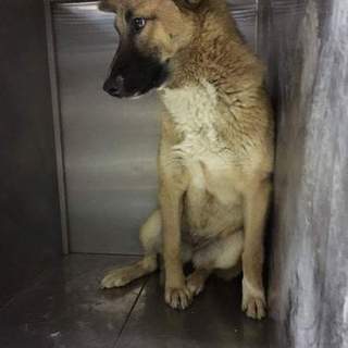 男前な女の子すうちゃん