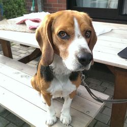 「あれから１年余り(1)」サムネイル2